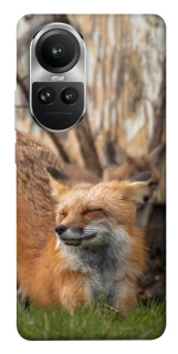 Чехол на Oppo Reno 10 Лиса фото 1 из 1