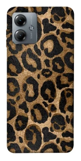 Чохол на Motorola Moto G14 Leopard Skin фото 1 з 1