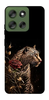 Чохол на Motorola Moto G56 5G Leopard v3 фото 1 з 1