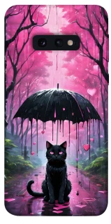 Чохол на Samsung Galaxy S10e Black cat фото 1 з 1