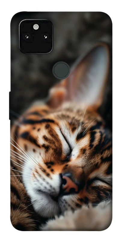 Чехол на Google Pixel 5A Cat paws фото 1 из 1