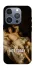 Чохол на Apple iPhone 16 Pro Not Today фото 1 з 1