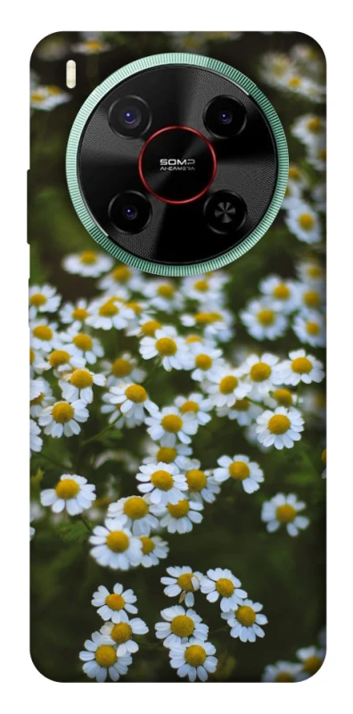 Чехол на ZTE Nubia V70 Max Ромашки v13 фото 1 из 1