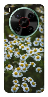 Чехол на ZTE Nubia V70 Max Ромашки v13 фото 1 из 1