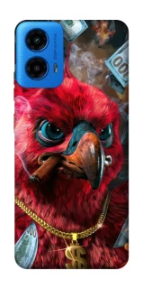 Чохол на Motorola Moto G45 Папуга фото 1 з 1