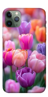 Чохол на Apple iPhone 11 Pro (5.8") Тюльпанове поле фото 1 з 1