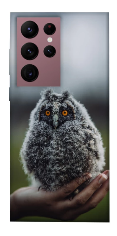 Чохол на Samsung Galaxy S22 Ultra Совеня фото 1 з 1