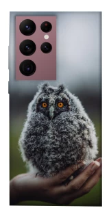 Чохол на Samsung Galaxy S22 Ultra Совеня фото 1 з 1