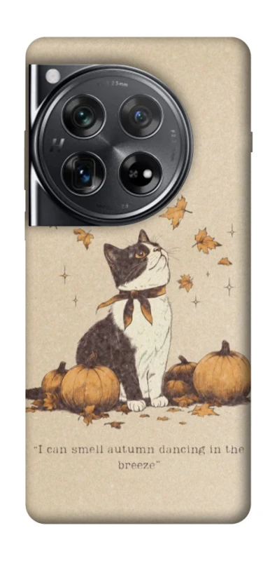 Чохол на OnePlus 12 Autumn vibes ver.3 фото 1 з 1