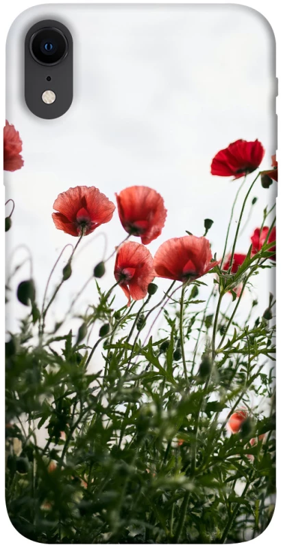 Чехол на Apple iPhone XR (6.1") Поле маков фото 1 из 1