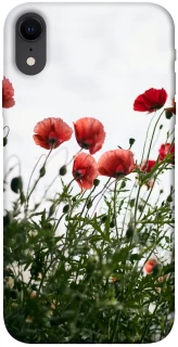 Чехол на Apple iPhone XR (6.1") Поле маков фото 1 из 1