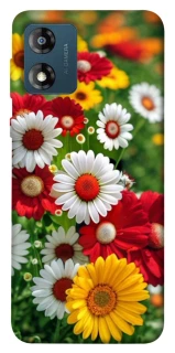 Чохол на Motorola Moto E13 Flowers v11 фото 1 з 1