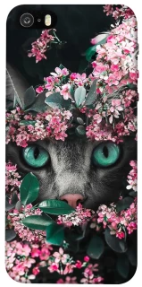 Чохол на Apple iPhone 5/5S/SE Кіт в квітах фото 1 з 1