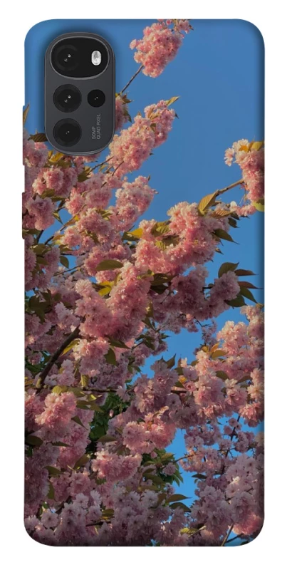 Чехол на Motorola Moto G22 Flowers v4 фото 1 из 1