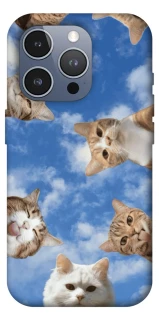 Чохол на Apple iPhone 16 Pro Max Сats фото 1 з 1