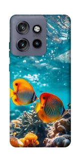 Чохол на Motorola Edge 50 Neo Coral fish фото 1 з 1