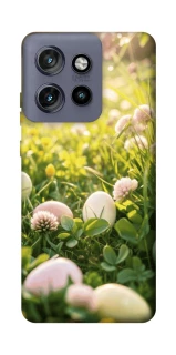 Чехол на Motorola Edge 50 Neo Hello Spring фото 1 из 1