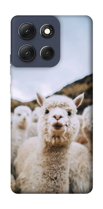 Чехол на Motorola Moto G86 Лама фото 1 из 1