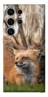 Чехол на Samsung Galaxy S25 Ultra Лиса фото 1 из 1