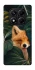 Чехол на Xiaomi Redmi Note 14 Pro 5G Fox фото 1 из 1
