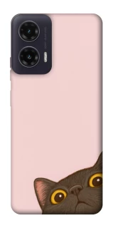 Чехол на Motorola Moto G35 Peeping cat фото 1 Чехол на Motorola Moto G35 Peeping cat фото 1 из 1