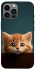 Чехол на Apple iPhone 12 Pro Max (6.7") Чехол Котёнок фото 1 из 1