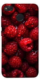 Чехол на Xiaomi Redmi 4X Малинка фото 1 из 1