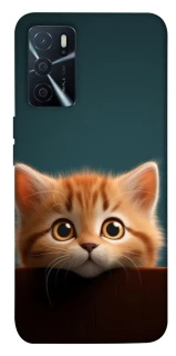 Чохол на Oppo A16s / A16 Чохол Кошеня фото 1 з 1