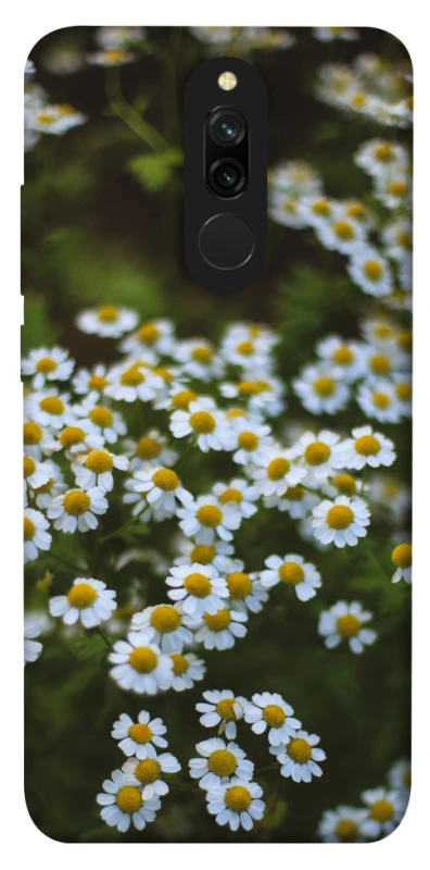 Чехол на Xiaomi Redmi 8 Ромашки v13 фото 1 из 1