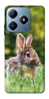 Чехол на Realme C63 Кролики фото 1 из 1