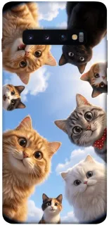 Чехол на Samsung Galaxy S10+ Cats фото 1 из 1