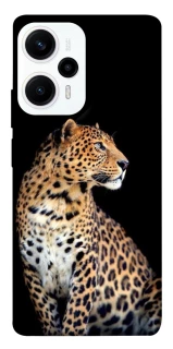 Чехол на Xiaomi Poco F5 / Note 12 Turbo Leopard v2 фото 1 из 1