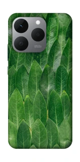 Чохол на Realme 15T Листя фото 1 з 1