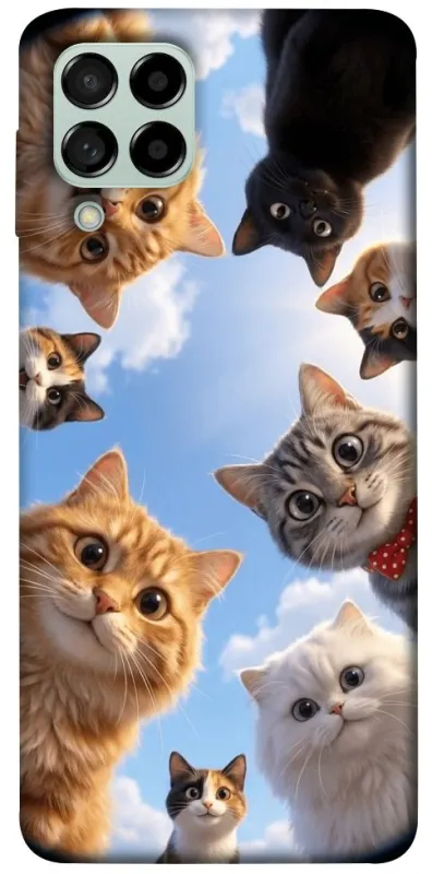 Чохол на Samsung Galaxy M53 5G Cats фото 1 з 1