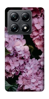 Чехол на Xiaomi 14T Pro Розовые гартензии фото 1 из 1