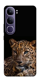 Чехол на Vivo Y300 Leopard v4 фото 1 из 1