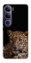 Чехол на Vivo Y300 Leopard v4 фото 1 из 1