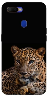 Чехол на Oppo A5s Leopard v4 фото 1 из 1