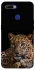 Чехол на Oppo A5s Leopard v4 фото 1 из 1