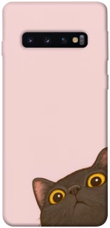 Чехол на Samsung Galaxy S10 Peeping cat фото 1 Чехол на Samsung Galaxy S10 Peeping cat фото 1 из 1