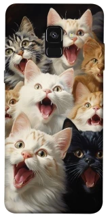 Чохол на Samsung A530 Galaxy A8 (2018) Коти фото 1 з 1