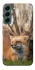 Чохол на Samsung Galaxy S22 Лисиця фото 1 з 1