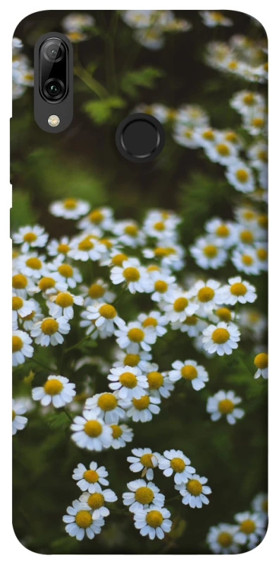 Чохол на Huawei P Smart (2019) Ромашки v13 фото 1 з 1