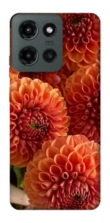 Чехол на Motorola Moto G Power (2025) Flower1 фото 1 из 1
