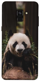 Чехол на Samsung A530 Galaxy A8 (2018) Панда фото 1 из 1