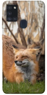 Чехол на Samsung Galaxy A21s Лиса фото 1 из 1