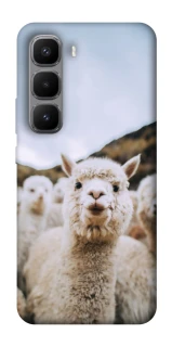 Чохол на Infinix Hot 60 Pro+ Лама фото 1 з 1