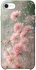 Чехол на Apple iPhone SE (2020) Flowers v26 фото 1 из 1