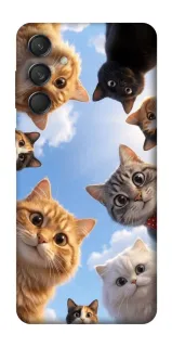 Чехол на Samsung Galaxy M55 Cats фото 1 из 1