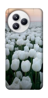 Чехол на Xiaomi Civi 5 Pro Flowers v1 фото 1 Чехол на Xiaomi Civi 5 Pro Flowers v1 фото 1 из 1